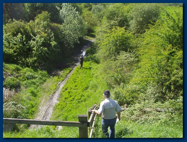 600x449 pixels (208K)